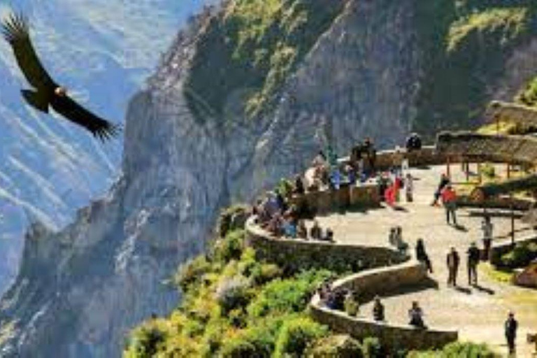 2D Colca Canyon from Puno