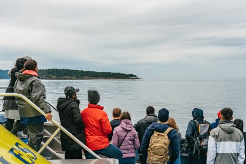 Vancouver: tour di avvistamento balene