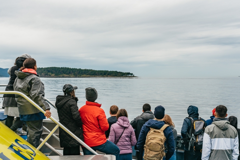Vancouver, BC: Half-Day Whale Watching Tour