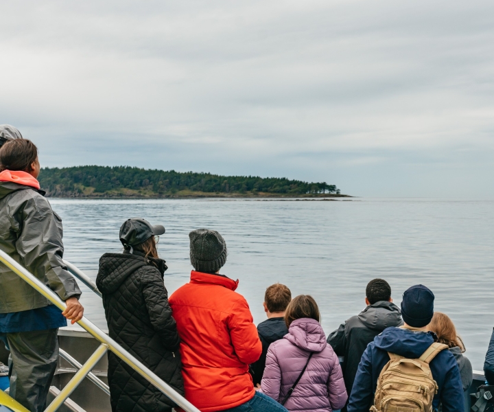 Vancouver: tour para avistar ballenas