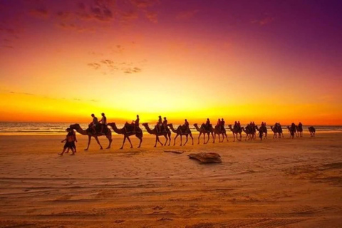 Dakhla: Sunset Camel Ride with Mint Tea and Photos