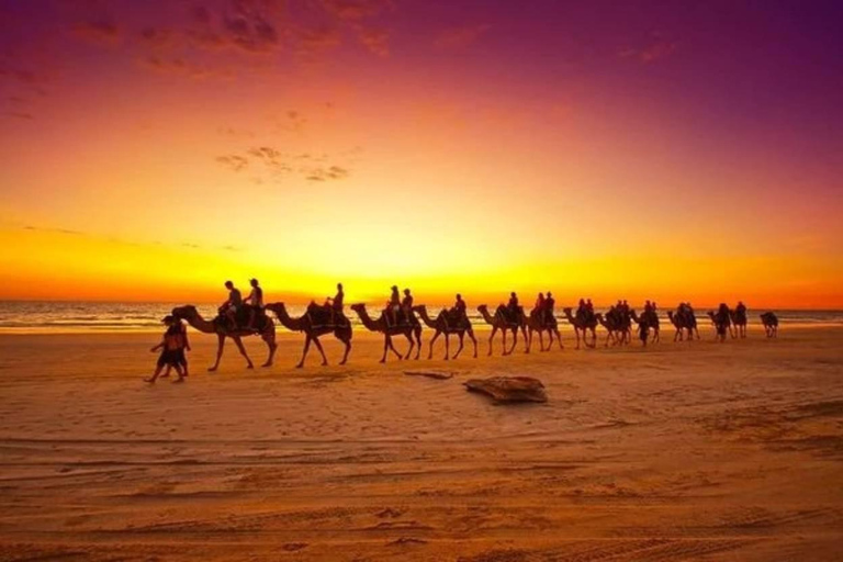 Dakhla: Sunset Camel Ride with Mint Tea and Photos