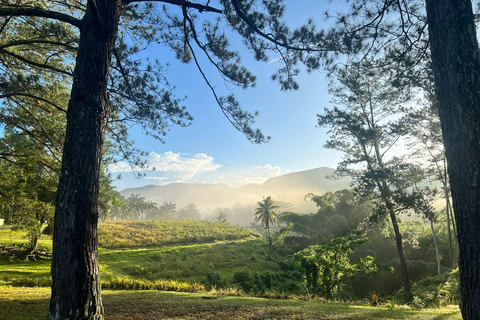 Croydon in the Mountains - Eco Farm Tour with Lunch