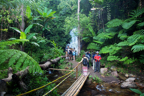 ChiangMai: Park Narodowy Doi Inthanon i minitrek do wodospadu