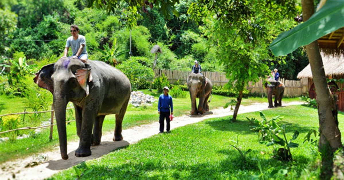 Luang Prabang: 4 Day 3 Nights Guide Tour | GetYourGuide