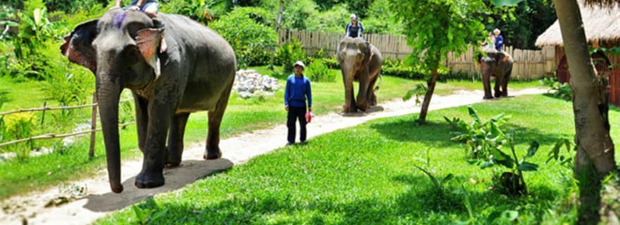 Luang Prabang : visite guidée de 4 jours et 3 nuits
