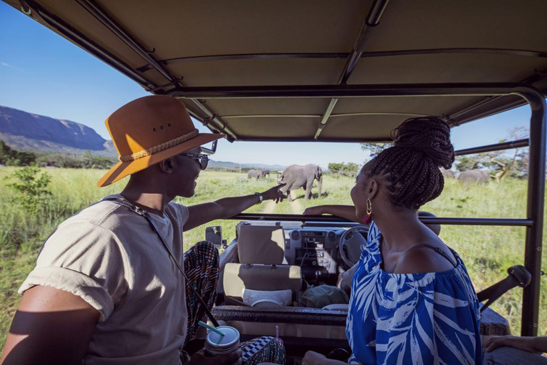 Johannesburg: Soweto, Dinokeng Culture and Wildlife Day Trip