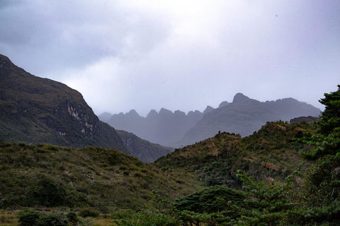 Private sight Tour Chingaza Paramo from Bogota, Andean BearPrivate sighting Tour in Chingaza Paramo, Andean Bear