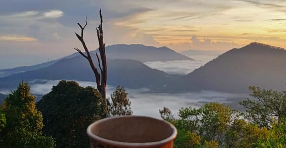 Bali: Mount Sanghyang Guided Hike with Secret Local Picnic