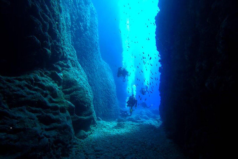 Zakynthos: Scuba Diving Experience with Underwater Photos Double dive discover scuba diving course