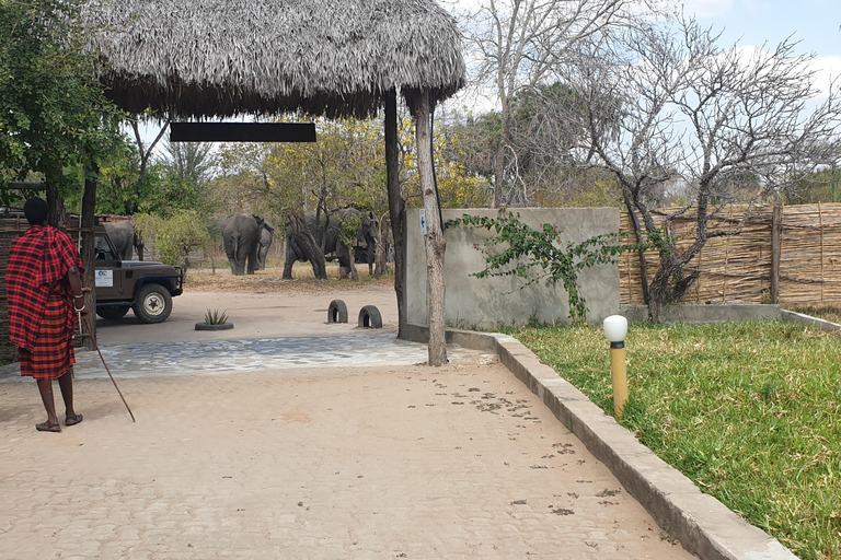 3 DAYS NYERERE NATIONAL PARK FROM ZANZIBAR BY FLIGHT.