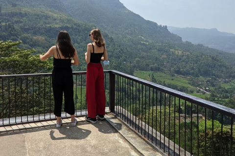 Kandy To Nanuoya Drop Tour & Morning Ella Train Journey Kandy To Nanuoya Drop Tour & Morning Ella Train Journey Car*