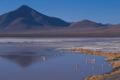 Van San Pedro de Atacama: 3-daagse Uyuni-zoutvlaktetour