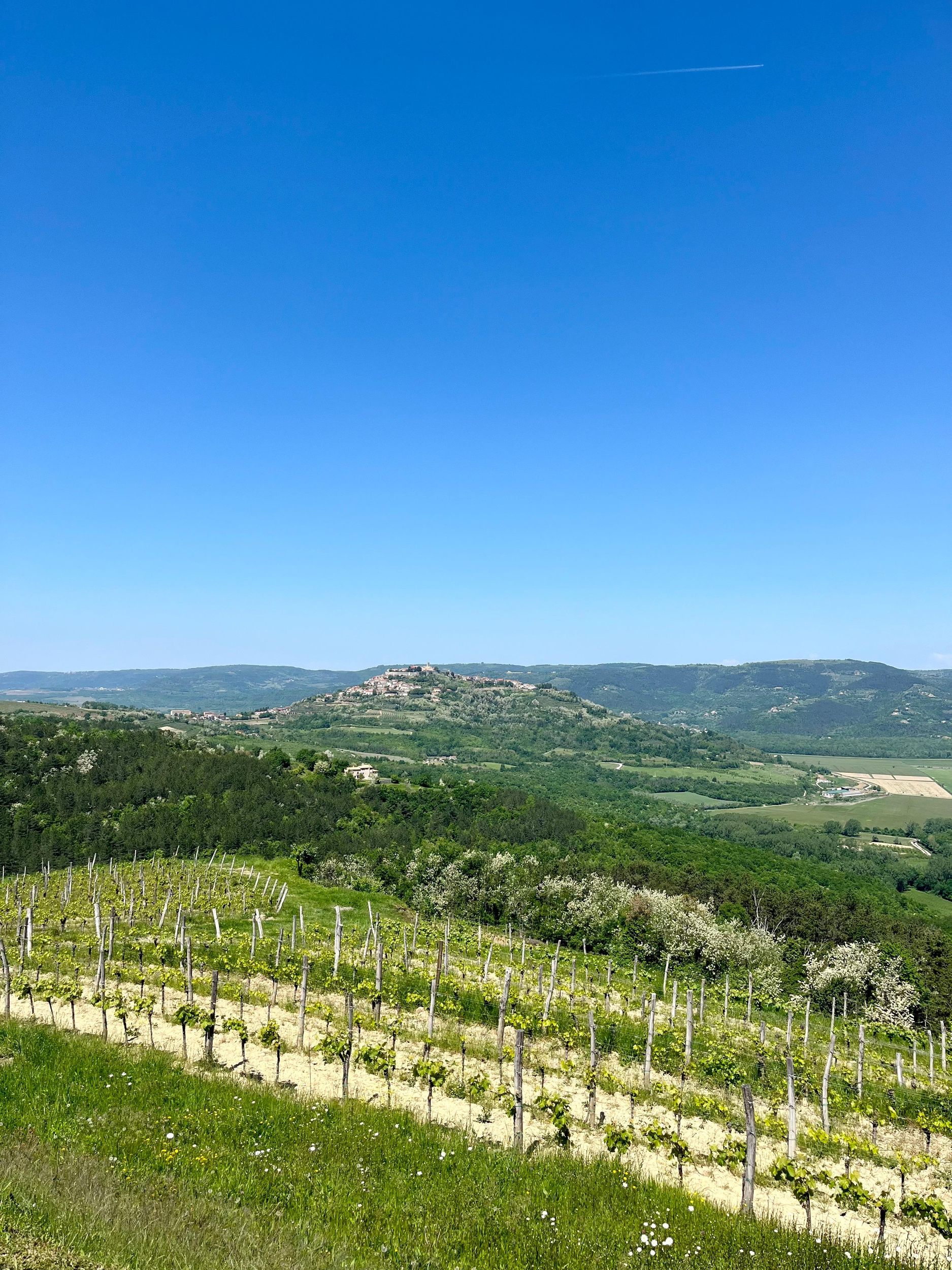 Ab Krk und Rijeka: Private Tour nach Istrien