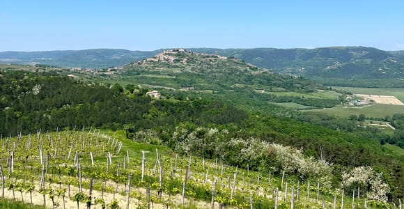 Ab Krk und Rijeka: Private Tour nach Istrien