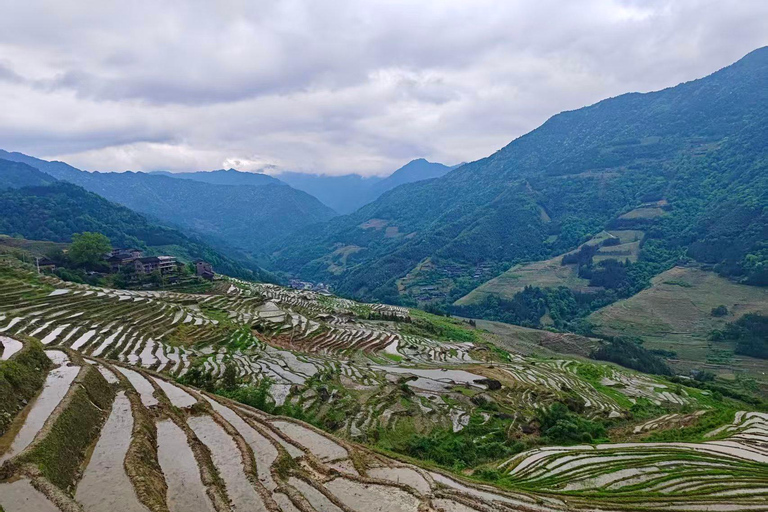 Longji Terraces Tour with Yao Show and Bamboo Chicken Lunch