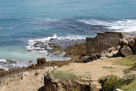 Tangier Jewish Heritage &amp; Highlights Private Tour