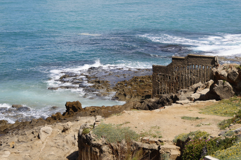 Tangier Jewish Heritage &amp; Highlights Private Tour