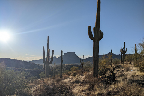 Mesa: Copper Mile Desert Hike