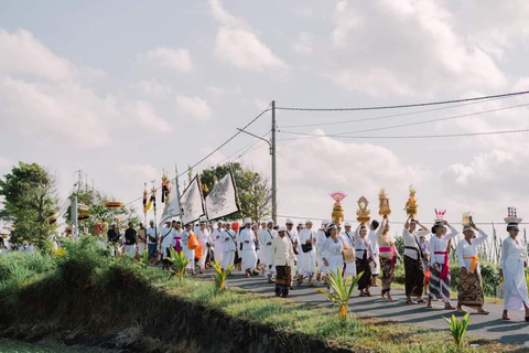 Ubud: Downhill Cycling with Volcano, Rice Terraces and Meal