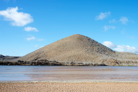 From Santa Cruz: Floreana, Enderby, and Punta Cormorant Tour