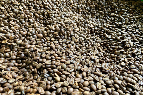 Minca: Varietals Coffee Taste & Marinka Waterfall