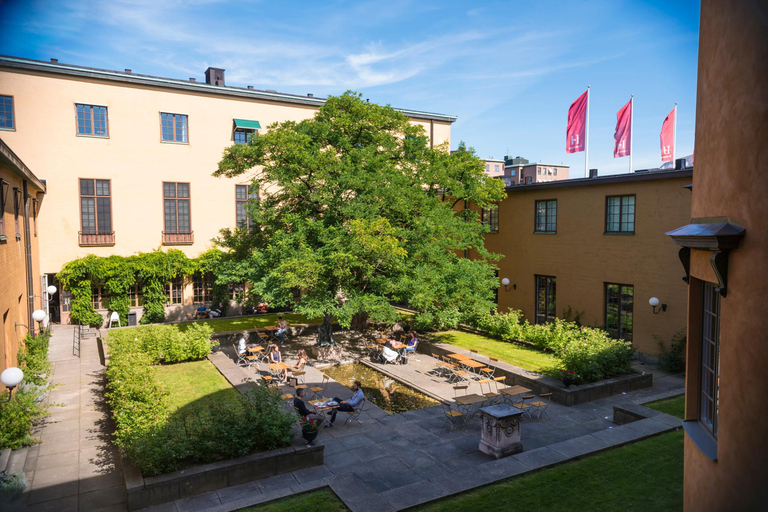 Estocolmo: ticket de acceso al Museo de Historia Sueca