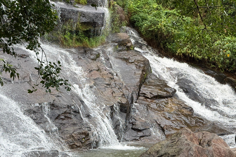 From Colombo: Cave Temples, Jungle Trek & Waterfall Swim