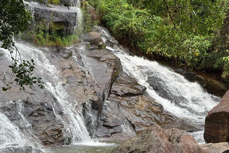 From Colombo: Cave Temples, Jungle Trek & Waterfall Swim