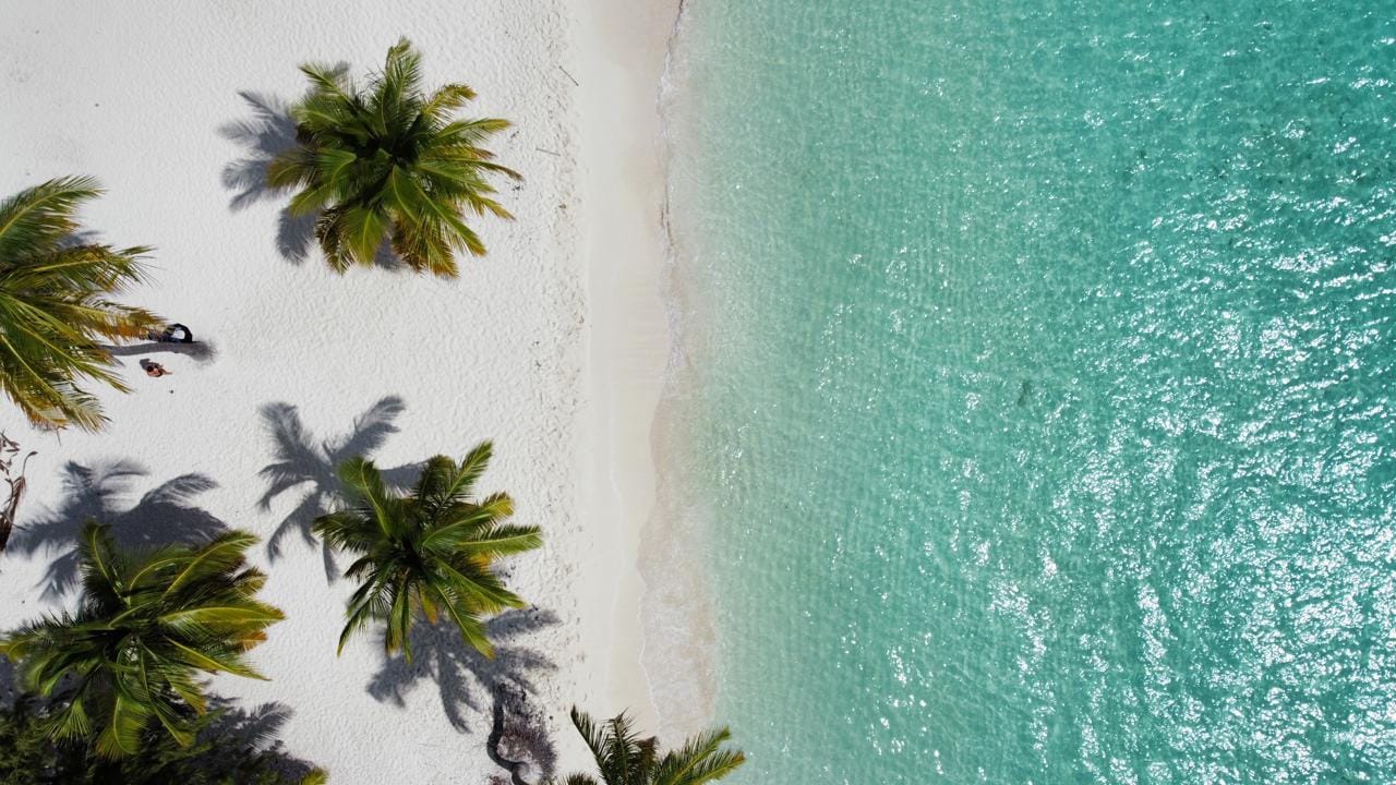 Schnellboot-Tour zur Insel Saona für die Marella Discovery