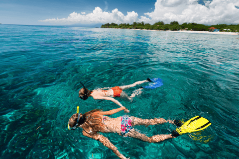 Rincon: Underwater Magic Snorkel Adventure