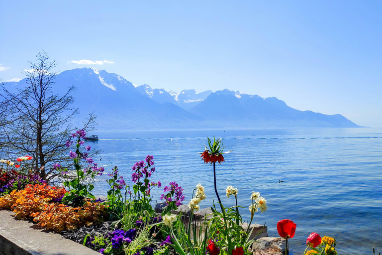 From Zurich: 2-Day GoldenPass Express Self-Guided Train Trip