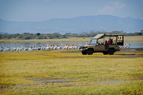 From Nairobi to Lake Nakuru National Park - Day Trip