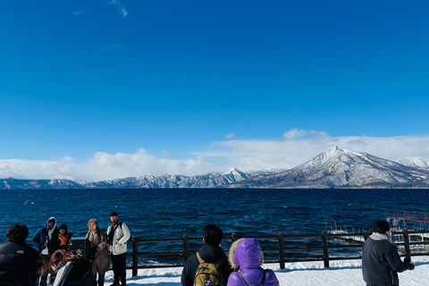 From Sapporo: Lake Shikotsu Ice Festival & Illumination Tour
