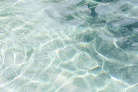 Taupo: Natural Thermal Springs Day Pass, Adults Only