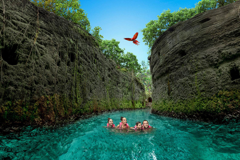 Cancun et Playa del Carmen : Xcaret Plus -Déjeuner-Spectacle-Transferts