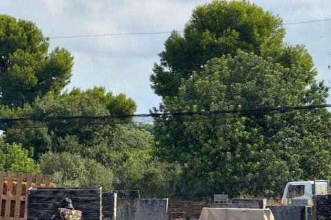 Cambrils: Paintball at Saltapark CAMBRILS PAINTBALL SALTAPARK
