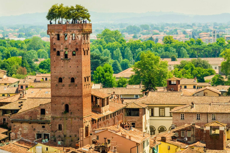 Florencja: Piza, Pietrasanta i Lucca - prywatna wycieczka 1-dniowa