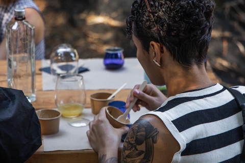 Corfu: Guided Olive Groves Tour with Olive Oil Tasting