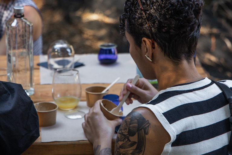 Corfu: Guided Olive Groves Tour with Olive Oil Tasting