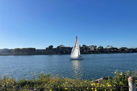 لوس أنجلوس ركوب الدراجة الإلكترونية على الشاطئ من شاطئ ريدوندو إلى سانتا مونيكالوس أنجلوس: ركوب ال