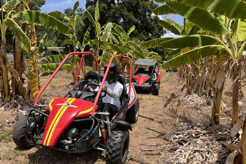 Bamboo Dune Buggy Tour