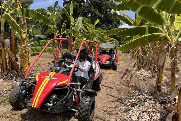 Bamboo Dune Buggy Tour