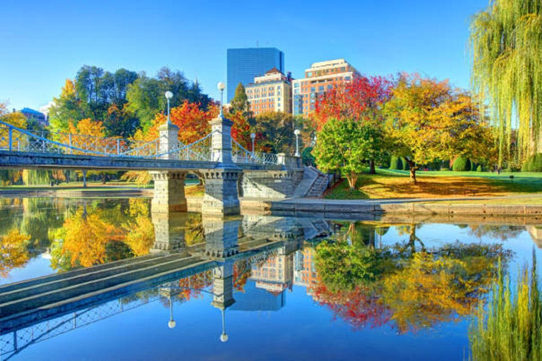 From Boston:Public Garden,Beacon Hill&More Half Day tour Tour Only