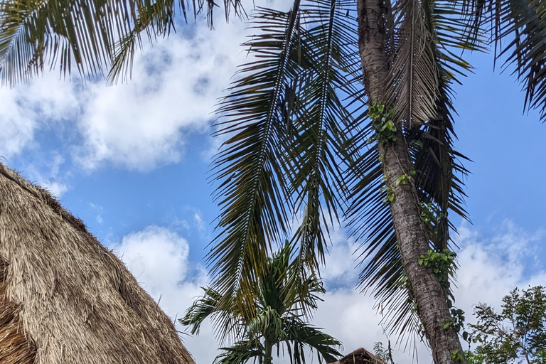 Lombok: Customizable Private Tour with Hotel Pickup