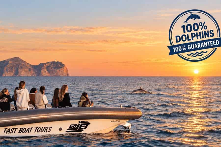 Halbprivates PREMIUM-Boot: Delfinbeobachtung (100 % garantiert) und Höhle. Foto: GetYourGuide