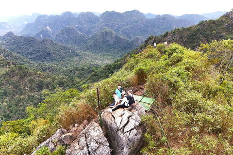 Half Day Hiking to Cat Ba National Park with a Guide