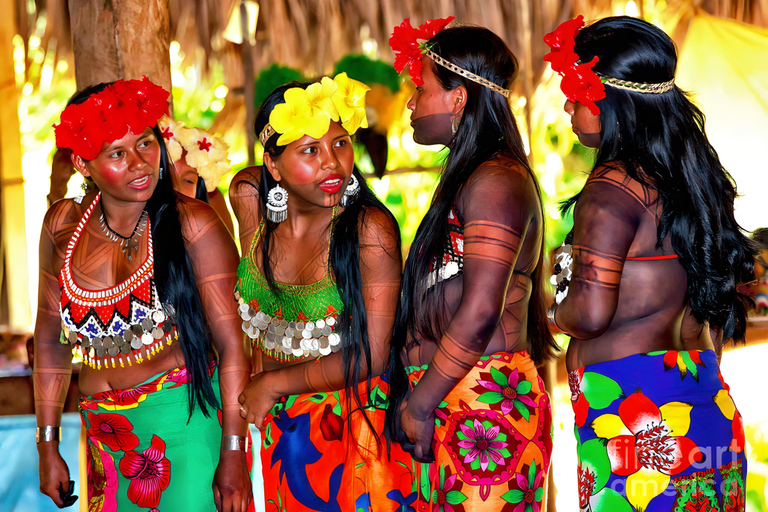 Excursión a la aldea Embera y a la selva tropical de las cataratas con almuerzo y servicio de recogidaRecogida en el Hotel Playa Bonita