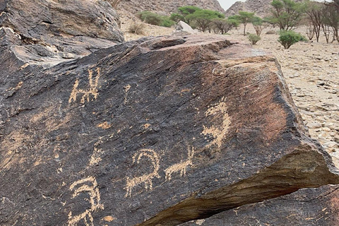 Riyadh: 2-day tour of 5 heritage villages and a safari trip