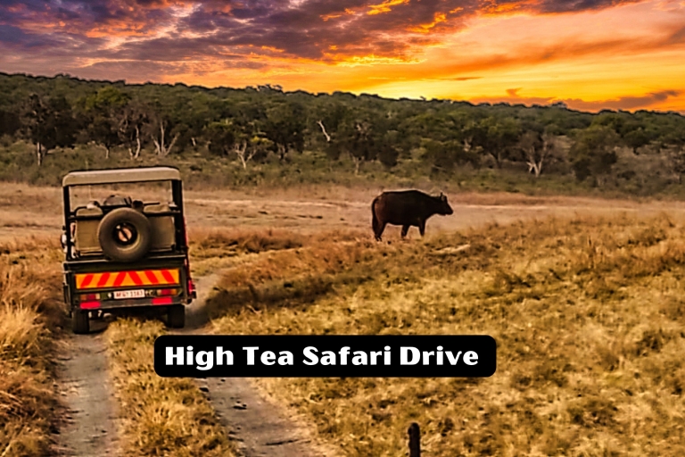 Safari "High Tea" dans le parc nationalSafari au thé dans le parc national de Chamabondo